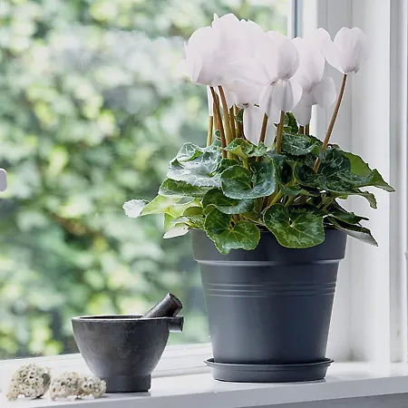 50 Papiniano Apartamento